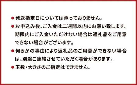 五代目デコ 3kg (10玉～12玉) 不知火 果物 くだもの フルーツ【2026年2月下旬～6月下旬発送】