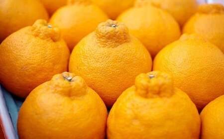 五代目デコ 5kg (18玉～20玉) 不知火 果物 くだもの フルーツ【2026年2月下旬-6月下旬発送】