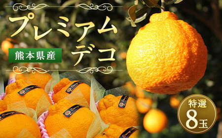 プレミアムデコ 8玉 不知火【2026年2月下旬-6月下旬発送】