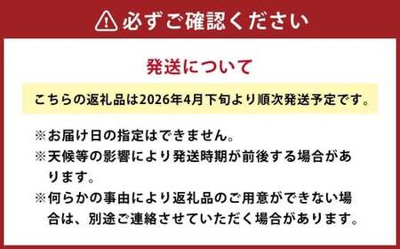 水俣 サラダ玉ねぎ 10kg 野菜 タマネギ サラダ 天ぷら 【2026年4月下旬～5月下旬発送】