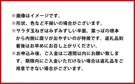 水俣 サラダ玉ねぎ 10kg 野菜 タマネギ サラダ 天ぷら 【2026年4月下旬～5月下旬発送】