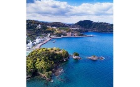 水俣市への寄附(返礼品はありません) 500,000円