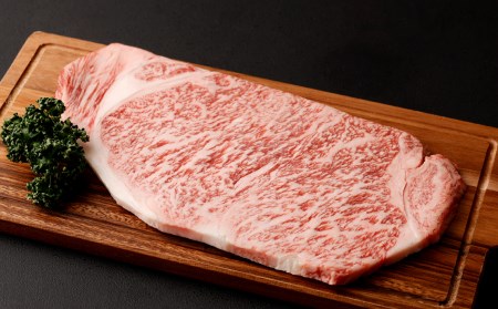 黒毛和牛 あしきた牛 サーロインステーキ 合計200g 和牛 肉