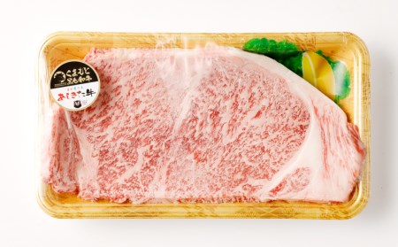 黒毛和牛 あしきた牛 サーロインステーキ 合計200g 和牛 肉