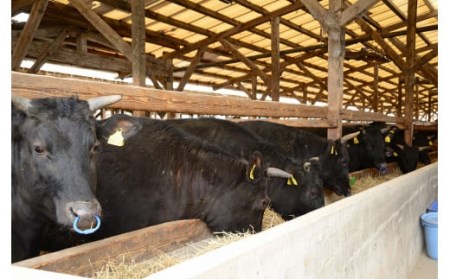 熊本県産 A5等級 和王 モモスライス 450g 牛肉 モモ肉