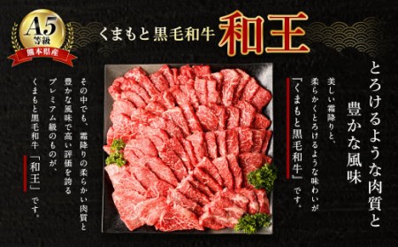 熊本県産 A5等級 和王 柔らか赤身 焼肉 900g (300g×3P) タレ付 牛肉 赤身肉
