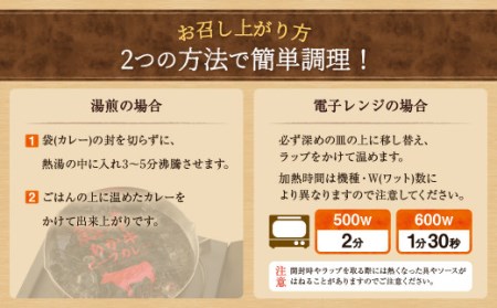 熊本県産 あか牛使用 くまもと あか牛ビーフカレー 15人前 2.4kg レトルト