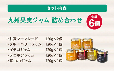 九州果実ジャム 詰め合わせ 6個セット ( 甘夏 / ブルーベリー / いちご / デコポン / 晩白柚 ) 5種 120g×6個 合計720g ジャム マーマレード 果物 フルーツ 柑橘 瓶詰 福田農場 熊本県産 水俣市
