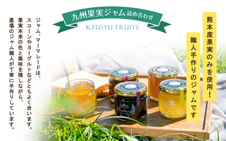 九州果実ジャム 詰め合わせ 6個セット ( 甘夏 / ブルーベリー / いちご / デコポン / 晩白柚 ) 5種 120g×6個 合計720g ジャム マーマレード 果物 フルーツ 柑橘 瓶詰 福田農場 熊本県産 水俣市