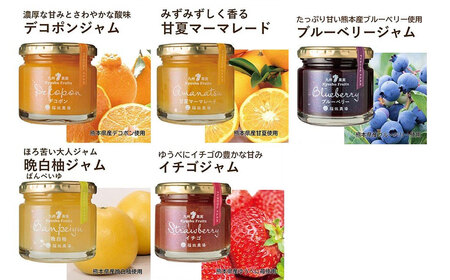 九州果実ジャム 詰め合わせ 6個セット ( 甘夏 / ブルーベリー / いちご / デコポン / 晩白柚 ) 5種 120g×6個 合計720g ジャム マーマレード 果物 フルーツ 柑橘 瓶詰 福田農場 熊本県産 水俣市