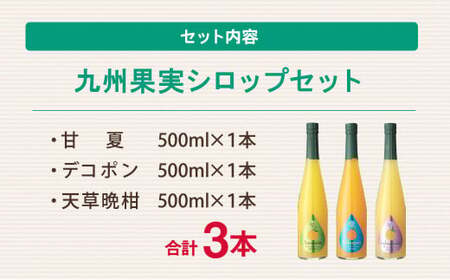九州 果実 シロップ セット 500ml×3本 甘夏 デコポン 天草晩柑