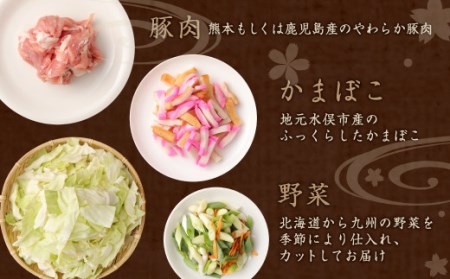 みなまた ちゃんぽん 3～4人前 生麺 野菜つき 具材セット 調理 水俣