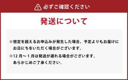 九州を飲む！九州果実 シロップ 桜島小みかん 500ml 1本 約25杯分 みかん フルーツ 果物 ジュース