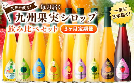 【3ヶ月定期便】 九州を飲む！毎月届く 九州果実シロップ 飲み比べセット 500ml×3本×3回 果物 フルーツ ジュース