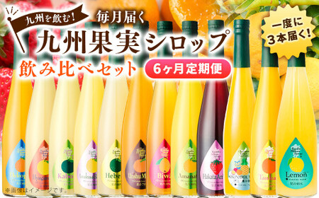 【6ヶ月定期便】 九州を飲む！毎月届く 九州果実シロップ 飲み比べセット 500ml×3本×6回 果物 フルーツ ジュース