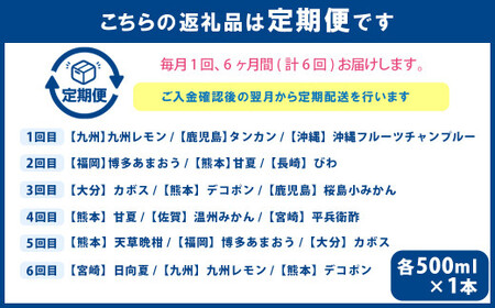 【6ヶ月定期便】 九州を飲む！毎月届く 九州果実シロップ 飲み比べセット 500ml×3本×6回 果物 フルーツ ジュース