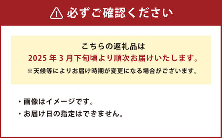 熊本産 おにつか農園 こだわり 不知火 贈答用 約5kg デコポン【2025年3月下旬発送開始】