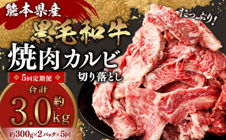 【5回定期便】熊本県産 黒毛和牛 焼肉 カルビ 切り落とし 600g×5回 合計約3kg 牛肉 肉