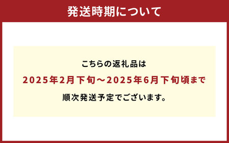 パクパクデコ 5kg バラ詰め 訳あり（B品） 不知火【2025年2月下旬～6月下旬発送】