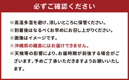 パクパクデコ 5kg バラ詰め 訳あり（B品） 不知火【2025年2月下旬～6月下旬発送】