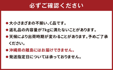 農家の休憩デコ 訳あり（C品 7kg） 果物 くだもの フルーツ 柑橘【2025年2月下旬～6月下旬発送】