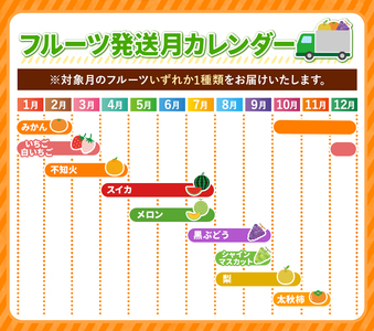 【 定期便 4回 】 まるごと 堪能 ！ 人気 フルーツ |  フルーツ定期 フルーツ定期便 果物 定期便 熊本県 玉名市 