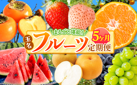 【 定期便 5回 】 まるごと 堪能 ！ 人気 フルーツ | （ いちご 白いちご みかん 不知火 スイカ メロン ぶどう シャインマスカット 梨 柿 果物 ） 熊本県 玉名市