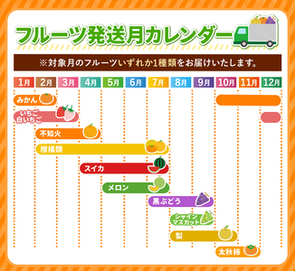 【 定期便 5回 】 まるごと 堪能 ！ 人気 フルーツ | （ いちご 白いちご みかん 不知火 スイカ メロン ぶどう シャインマスカット 梨 柿 果物 ） 熊本県 玉名市