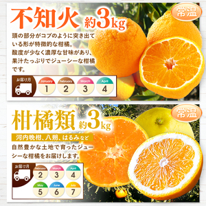 【 定期便 7回 】 まるごと 堪能 ！ 人気 フルーツ | いちご 白いちご みかん 不知火 スイカ メロン ぶどう シャインマスカット 梨 柿