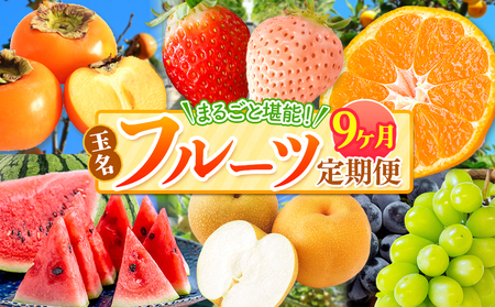 【 定期便 9回 】 まるごと 堪能 ! 人気 フルーツ | ( いちご 白いちご みかん 不知火 スイカ メロン ぶどう シャインマスカット 梨 柿 果物 )熊本県 玉名市