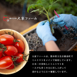 『大家ファーム』の ミニトマト アイコ 1.2kg 熊本県玉名ﾐﾆﾄﾏﾄﾄﾏﾄﾐﾆﾄﾏﾄﾄﾏﾄﾐﾆﾄﾏﾄﾄﾏﾄﾐﾆﾄﾏﾄﾄﾏﾄﾐﾆﾄﾏﾄﾄﾏﾄﾐﾆﾄﾏﾄﾄﾏﾄﾐﾆﾄﾏﾄﾄﾏﾄﾐﾆﾄﾏﾄﾄﾏﾄﾐﾆﾄﾏﾄﾄﾏﾄﾐﾆﾄﾏﾄﾄﾏﾄﾐﾆﾄﾏﾄﾄﾏﾄﾐﾆﾄﾏﾄﾄﾏﾄﾐﾆﾄﾏﾄﾄﾏﾄﾐﾆﾄﾏﾄﾄﾏﾄﾐﾆﾄﾏﾄﾄﾏﾄﾐﾆﾄﾏﾄﾄﾏﾄﾐﾆﾄﾏﾄﾄﾏﾄﾐﾆﾄﾏﾄﾄﾏﾄﾐﾆﾄﾏﾄﾄﾏﾄﾐﾆﾄﾏﾄﾄﾏﾄﾐﾆﾄﾏﾄﾄﾏﾄﾐﾆﾄﾏﾄﾄﾏﾄﾐﾆﾄﾏﾄﾄﾏﾄﾐﾆﾄﾏﾄﾄﾏﾄﾐﾆﾄﾏﾄﾄﾏﾄﾐﾆﾄﾏﾄﾄﾏﾄﾐﾆﾄﾏﾄﾄﾏﾄﾐﾆﾄﾏﾄﾄﾏﾄﾐﾆﾄﾏﾄﾄﾏﾄﾐﾆﾄﾏﾄﾄﾏﾄﾐﾆﾄﾏﾄﾄﾏﾄﾐﾆﾄﾏﾄﾄﾏﾄﾐﾆﾄﾏﾄﾄﾏﾄﾐﾆﾄﾏﾄﾄﾏﾄﾐﾆﾄﾏﾄﾄﾏﾄﾐﾆﾄﾏﾄﾄﾏﾄﾐﾆﾄﾏﾄﾄﾏﾄﾐﾆﾄﾏﾄﾄﾏﾄﾐﾆﾄﾏﾄﾄﾏﾄﾐﾆﾄﾏﾄﾄﾏﾄﾐﾆﾄﾏﾄﾄﾏﾄﾐﾆﾄﾏﾄﾄﾏﾄﾐﾆﾄﾏﾄﾄﾏﾄﾐﾆﾄﾏﾄﾄﾏﾄﾐﾆﾄﾏﾄﾄﾏﾄﾐﾆﾄﾏﾄﾄﾏﾄﾐﾆﾄﾏﾄﾄﾏﾄﾐﾆﾄﾏﾄﾄﾏﾄﾐﾆﾄﾏﾄﾄﾏﾄﾐﾆﾄﾏﾄﾄﾏﾄﾐﾆﾄﾏﾄﾄﾏﾄﾐﾆﾄﾏﾄﾄﾏﾄﾐﾆﾄﾏﾄﾄﾏﾄﾐﾆﾄﾏﾄﾄﾏﾄﾐﾆﾄﾏﾄﾄﾏﾄﾐﾆﾄﾏﾄﾄﾏﾄﾐﾆﾄﾏﾄﾄﾏﾄﾐﾆﾄﾏﾄﾄﾏﾄﾐﾆﾄﾏﾄﾄﾏﾄﾐﾆﾄﾏﾄﾄﾏﾄﾐﾆﾄﾏﾄﾄﾏﾄﾐﾆﾄﾏﾄﾄﾏﾄﾐﾆﾄﾏﾄﾄﾏﾄﾐﾆﾄﾏﾄﾄﾏﾄﾐﾆﾄﾏﾄﾄﾏﾄﾐﾆﾄﾏﾄﾄﾏﾄﾐﾆﾄﾏﾄﾄﾏﾄﾐﾆﾄﾏﾄﾄﾏﾄﾐﾆﾄﾏﾄﾄﾏﾄﾐﾆﾄﾏﾄﾄﾏﾄﾐﾆﾄﾏﾄﾄﾏﾄﾐﾆﾄﾏﾄﾄﾏﾄﾐﾆﾄﾏﾄﾄﾏﾄﾐﾆﾄﾏﾄﾄﾏﾄﾐﾆﾄﾏﾄﾄﾏﾄﾐﾆﾄﾏﾄﾄﾏﾄﾐﾆﾄﾏﾄﾄﾏﾄﾐﾆﾄﾏﾄﾄﾏﾄﾐﾆﾄﾏﾄﾄﾏﾄﾐﾆﾄﾏﾄﾄﾏﾄﾐﾆﾄﾏﾄﾄﾏﾄﾐﾆﾄﾏﾄﾄﾏﾄﾐﾆﾄﾏﾄﾄﾏﾄﾐﾆﾄﾏﾄﾄﾏﾄﾐﾆﾄﾏﾄﾄﾏﾄﾐﾆﾄﾏﾄﾄﾏﾄﾐﾆﾄﾏﾄﾄﾏﾄﾐﾆﾄﾏﾄﾄﾏﾄﾐﾆﾄﾏﾄﾄﾏﾄﾐﾆﾄﾏﾄﾄﾏﾄﾐﾆﾄﾏﾄﾄﾏﾄﾐﾆﾄﾏﾄﾄﾏﾄﾐﾆﾄﾏﾄﾄﾏﾄﾐﾆﾄﾏﾄﾄﾏﾄﾐﾆﾄﾏﾄﾄﾏﾄﾐﾆﾄﾏﾄﾄﾏﾄﾐﾆﾄﾏﾄﾄﾏﾄﾐﾆﾄﾏﾄﾄﾏﾄﾐﾆﾄﾏﾄﾄﾏﾄﾐﾆﾄﾏﾄﾄﾏﾄﾐﾆﾄﾏﾄﾄﾏﾄﾐﾆﾄﾏﾄﾄﾏﾄﾐﾆﾄﾏﾄﾄﾏﾄﾐﾆﾄﾏﾄﾄﾏﾄﾐﾆﾄﾏﾄﾄﾏﾄﾐﾆﾄﾏﾄﾄﾏﾄﾐﾆﾄﾏﾄﾄﾏﾄﾐﾆﾄﾏﾄﾄﾏﾄﾐﾆﾄﾏﾄﾄﾏﾄﾐﾆﾄﾏﾄﾄﾏﾄﾐﾆﾄﾏﾄﾄﾏﾄﾐﾆﾄﾏﾄﾄﾏﾄﾐﾆﾄﾏﾄﾄﾏﾄﾐﾆﾄﾏﾄﾄﾏﾄ