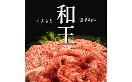 【 定期便 6回 】 和王 贅沢食べ尽くしコース ｜ 定期便 肉 牛肉 黒毛和牛 焼き肉 焼肉 ステーキ 切り落とし すき焼き 定期 和牛 熊本県 玉名市