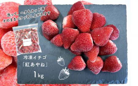 冷凍イチゴ 「 紅あやね 」 1kg | 果物 くだもの フルーツ いちご イチゴ 苺 冷凍 いちご 熊本 玉名