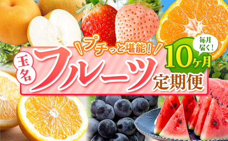 【 定期便 10回 】 プチっと 堪能 ！ 人気 フルーツ ｜ （ いちご 白いちご みかん 不知火 デコポン スイカ ぶどう 梨 柿 果物 ）  定期便 定期 フルーツ 果物