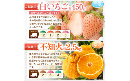 【 定期便 10回 】 プチっと 堪能 ！ 人気 フルーツ ｜ （ いちご 白いちご みかん 不知火 デコポン スイカ ぶどう 梨 柿 果物 ）  定期便 定期 フルーツ 果物