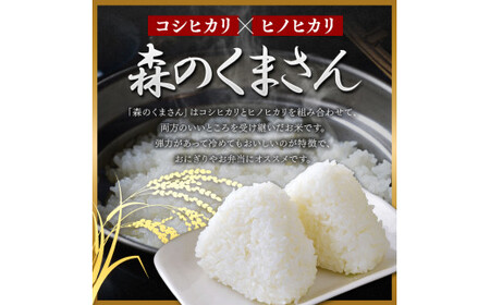 森のくまさん 無洗米 10kg 5kg×2袋 | 米 こめ お米 おこめ 白米 精米 熊本県 玉名市