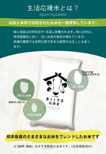 【定期便3回】 毎日食卓・米農家 応援米 20kg ( 5kg ×4袋) × 3回 | 米 こめ お米 おこめ 定期便 熊本県産 熊本県 玉名市