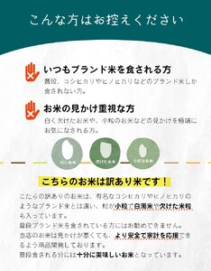 【定期便3回】 毎日食卓・米農家 応援米 20kg ( 5kg ×4袋) × 3回 | 米 こめ お米 おこめ 定期便 熊本県産 熊本県 玉名市