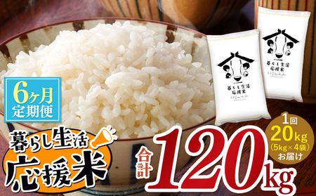 【定期便6回】 毎日食卓・米農家 応援米 20kg ( 5kg ×4袋)  × 6回 | 米 こめ お米 おこめ 定期便 熊本県産 熊本県 玉名市