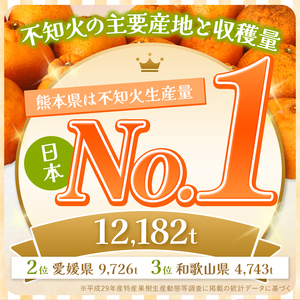 『 かめまる食堂 』 熊本県産 ご家庭用 不知火 約 5kg | （ デコポン と同品種 ）デコポン みかん 不知火 熊本県 玉名市