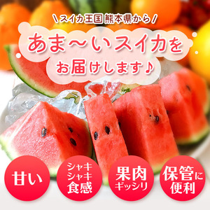 【4月～6月発送】 小玉すいか 1玉