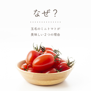 ミニトマト アイコ 約 1kg トマト 熊本 サザキ農園 野菜 ミニトマト 生産量 日本一 玉名市 !! ﾐﾆﾄﾏﾄﾄﾏﾄﾐﾆﾄﾏﾄﾄﾏﾄﾐﾆﾄﾏﾄﾄﾏﾄﾐﾆﾄﾏﾄﾄﾏﾄﾐﾆﾄﾏﾄﾄﾏﾄﾐﾆﾄﾏﾄﾄﾏﾄﾐﾆﾄﾏﾄﾄﾏﾄﾐﾆﾄﾏﾄﾄﾏﾄﾐﾆﾄﾏﾄﾄﾏﾄﾐﾆﾄﾏﾄﾄﾏﾄﾐﾆﾄﾏﾄﾄﾏﾄﾐﾆﾄﾏﾄﾄﾏﾄﾐﾆﾄﾏﾄﾄﾏﾄﾐﾆﾄﾏﾄﾄﾏﾄﾐﾆﾄﾏﾄﾄﾏﾄﾐﾆﾄﾏﾄﾄﾏﾄﾐﾆﾄﾏﾄﾄﾏﾄﾐﾆﾄﾏﾄﾄﾏﾄﾐﾆﾄﾏﾄﾄﾏﾄﾐﾆﾄﾏﾄﾄﾏﾄﾐﾆﾄﾏﾄﾄﾏﾄﾐﾆﾄﾏﾄﾄﾏﾄﾐﾆﾄﾏﾄﾄﾏﾄﾐﾆﾄﾏﾄﾄﾏﾄﾐﾆﾄﾏﾄﾄﾏﾄﾐﾆﾄﾏﾄﾄﾏﾄﾐﾆﾄﾏﾄﾄﾏﾄﾐﾆﾄﾏﾄﾄﾏﾄﾐﾆﾄﾏﾄﾄﾏﾄﾐﾆﾄﾏﾄﾄﾏﾄﾐﾆﾄﾏﾄﾄﾏﾄﾐﾆﾄﾏﾄﾄﾏﾄﾐﾆﾄﾏﾄﾄﾏﾄﾐﾆﾄﾏﾄﾄﾏﾄﾐﾆﾄﾏﾄﾄﾏﾄﾐﾆﾄﾏﾄﾄﾏﾄﾐﾆﾄﾏﾄﾄﾏﾄﾐﾆﾄﾏﾄﾄﾏﾄﾐﾆﾄﾏﾄﾄﾏﾄﾐﾆﾄﾏﾄﾄﾏﾄﾐﾆﾄﾏﾄﾄﾏﾄﾐﾆﾄﾏﾄﾄﾏﾄﾐﾆﾄﾏﾄﾄﾏﾄﾐﾆﾄﾏﾄﾄﾏﾄﾐﾆﾄﾏﾄﾄﾏﾄﾐﾆﾄﾏﾄﾄﾏﾄﾐﾆﾄﾏﾄﾄﾏﾄﾐﾆﾄﾏﾄﾄﾏﾄﾐﾆﾄﾏﾄﾄﾏﾄﾐﾆﾄﾏﾄﾄﾏﾄﾐﾆﾄﾏﾄﾄﾏﾄﾐﾆﾄﾏﾄﾄﾏﾄﾐﾆﾄﾏﾄﾄﾏﾄﾐﾆﾄﾏﾄﾄﾏﾄﾐﾆﾄﾏﾄﾄﾏﾄﾐﾆﾄﾏﾄﾄﾏﾄﾐﾆﾄﾏﾄﾄﾏﾄﾐﾆﾄﾏﾄﾄﾏﾄﾐﾆﾄﾏﾄﾄﾏﾄﾐﾆﾄﾏﾄﾄﾏﾄﾐﾆﾄﾏﾄﾄﾏﾄﾐﾆﾄﾏﾄﾄﾏﾄﾐﾆﾄﾏﾄﾄﾏﾄﾐﾆﾄﾏﾄﾄﾏﾄﾐﾆﾄﾏﾄﾄﾏﾄﾐﾆﾄﾏﾄﾄﾏﾄﾐﾆﾄﾏﾄﾄﾏﾄﾐﾆﾄﾏﾄﾄﾏﾄﾐﾆﾄﾏﾄﾄﾏﾄﾐﾆﾄﾏﾄﾄﾏﾄﾐﾆﾄﾏﾄﾄﾏﾄﾐﾆﾄﾏﾄﾄﾏﾄﾐﾆﾄﾏﾄﾄﾏﾄﾐﾆﾄﾏﾄﾄﾏﾄﾐﾆﾄﾏﾄﾄﾏﾄﾐﾆﾄﾏﾄﾄﾏﾄﾐﾆﾄﾏﾄﾄﾏﾄﾐﾆﾄﾏﾄﾄﾏﾄﾐﾆﾄﾏﾄﾄﾏﾄﾐﾆﾄﾏﾄﾄﾏﾄﾐﾆﾄﾏﾄﾄﾏﾄﾐﾆﾄﾏﾄﾄﾏﾄﾐﾆﾄﾏﾄﾄﾏﾄﾐﾆﾄﾏﾄﾄﾏﾄﾐﾆﾄﾏﾄﾄﾏﾄﾐﾆﾄﾏﾄﾄﾏﾄﾐﾆﾄﾏﾄﾄﾏﾄﾐﾆﾄﾏﾄﾄﾏﾄﾐﾆﾄﾏﾄﾄﾏﾄﾐﾆﾄﾏﾄﾄﾏﾄﾐﾆﾄﾏﾄﾄﾏﾄﾐﾆﾄﾏﾄﾄﾏﾄﾐﾆﾄﾏﾄﾄﾏﾄﾐﾆﾄﾏﾄﾄﾏﾄﾐﾆﾄﾏﾄﾄﾏﾄﾐﾆﾄﾏﾄﾄﾏﾄﾐﾆﾄﾏﾄﾄﾏﾄﾐﾆﾄﾏﾄﾄﾏﾄﾐﾆﾄﾏﾄﾄﾏﾄﾐﾆﾄﾏﾄﾄﾏﾄﾐﾆﾄﾏﾄﾄﾏﾄﾐﾆﾄﾏﾄﾄﾏﾄﾐﾆﾄﾏﾄﾄﾏﾄﾐﾆﾄﾏﾄﾄﾏﾄﾐﾆﾄﾏﾄﾄﾏﾄﾐﾆﾄﾏﾄﾄﾏﾄﾐﾆﾄﾏﾄﾄﾏﾄﾐﾆﾄﾏﾄﾄﾏﾄﾐﾆﾄﾏﾄﾄﾏﾄﾐﾆﾄﾏﾄﾄﾏﾄﾐﾆﾄﾏﾄﾄﾏﾄﾐﾆﾄﾏﾄﾄﾏﾄﾐﾆﾄﾏﾄﾄﾏﾄﾐﾆﾄﾏﾄﾄﾏﾄ