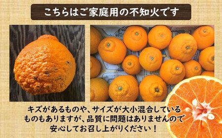 ≪ご家庭用≫ 不知火 約3kg | 果物 くだもの フルーツ 柑橘類 柑橘 デコポン みかん 熊本 玉名