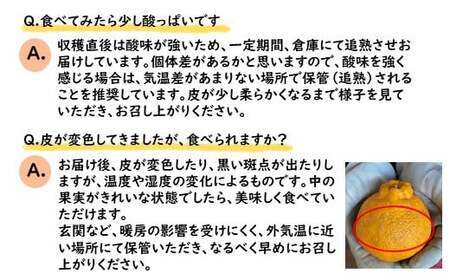 ≪ご家庭用≫ 不知火 約3kg | 果物 くだもの フルーツ 柑橘類 柑橘 デコポン みかん 熊本 玉名