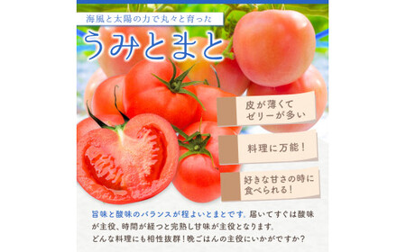 玉名市産 トマト 「 うみとまと 」 4kg | 野菜 トマト とまと 熊本 玉名 ﾄﾏﾄﾄﾏﾄﾄﾏﾄﾄﾏﾄﾄﾏﾄﾄﾏﾄﾄﾏﾄﾄﾏﾄﾄﾏﾄﾄﾏﾄﾄﾏﾄﾄﾏﾄﾄﾏﾄﾄﾏﾄﾄﾏﾄﾄﾏﾄﾄﾏﾄﾄﾏﾄﾄﾏﾄﾄﾏﾄﾄﾏﾄﾄﾏﾄﾄﾏﾄﾄﾏﾄﾄﾏﾄﾄﾏﾄﾄﾏﾄﾄﾏﾄﾄﾏﾄﾄﾏﾄﾄﾏﾄﾄﾏﾄﾄﾏﾄﾄﾏﾄﾄﾏﾄﾄﾏﾄﾄﾏﾄﾄﾏﾄﾄﾏﾄﾄﾏﾄﾄﾏﾄﾄﾏﾄﾄﾏﾄﾄﾏﾄﾄﾏﾄﾄﾏﾄﾄﾏﾄﾄﾏﾄﾄﾏﾄﾄﾏﾄﾄﾏﾄﾄﾏﾄﾄﾏﾄﾄﾏﾄﾄﾏﾄﾄﾏﾄﾄﾏﾄﾄﾏﾄﾄﾏﾄﾄﾏﾄﾄﾏﾄﾄﾏﾄﾄﾏﾄﾄﾏﾄﾄﾏﾄﾄﾏﾄﾄﾏﾄﾄﾏﾄﾄﾏﾄﾄﾏﾄﾄﾏﾄﾄﾏﾄﾄﾏﾄﾄﾏﾄﾄﾏﾄﾄﾏﾄﾄﾏﾄﾄﾏﾄﾄﾏﾄﾄﾏﾄﾄﾏﾄﾄﾏﾄﾄﾏﾄﾄﾏﾄﾄﾏﾄﾄﾏﾄﾄﾏﾄﾄﾏﾄﾄﾏﾄﾄﾏﾄﾄﾏﾄﾄﾏﾄﾄﾏﾄﾄﾏﾄﾄﾏﾄﾄﾏﾄﾄﾏﾄﾄﾏﾄﾄﾏﾄﾄﾏﾄﾄﾏﾄﾄﾏﾄﾄﾏﾄﾄﾏﾄﾄﾏﾄﾄﾏﾄﾄﾏﾄﾄﾏﾄﾄﾏﾄﾄﾏﾄﾄﾏﾄﾄﾏﾄﾄﾏﾄﾄﾏﾄﾄﾏﾄﾄﾏﾄﾄﾏﾄﾄﾏﾄﾄﾏﾄﾄﾏﾄﾄﾏﾄﾄﾏﾄﾄﾏﾄﾄﾏﾄﾄﾏﾄﾄﾏﾄﾄﾏﾄﾄﾏﾄﾄﾏﾄﾄﾏﾄﾄﾏﾄﾄﾏﾄﾄﾏﾄﾄﾏﾄﾄﾏﾄﾄﾏﾄﾄﾏﾄﾄﾏﾄﾄﾏﾄﾄﾏﾄﾄﾏﾄﾄﾏﾄﾄﾏﾄﾄﾏﾄﾄﾏﾄﾄﾏﾄﾄﾏﾄﾄﾏﾄﾄﾏﾄﾄﾏﾄﾄﾏﾄﾄﾏﾄﾄﾏﾄﾄﾏﾄﾄﾏﾄﾄﾏﾄﾄﾏﾄﾄﾏﾄﾄﾏﾄﾄﾏﾄﾄﾏﾄﾄﾏﾄﾄﾏﾄﾄﾏﾄﾄﾏﾄﾄﾏﾄﾄﾏﾄﾄﾏﾄﾄﾏﾄﾄﾏﾄﾄﾏﾄﾄﾏﾄﾄﾏﾄﾄﾏﾄﾄﾏﾄﾄﾏﾄﾄﾏﾄﾄﾏﾄﾄﾏﾄﾄﾏﾄﾄﾏﾄﾄﾏﾄﾄﾏﾄﾄﾏﾄﾄﾏﾄﾄﾏﾄﾄﾏﾄﾄﾏﾄﾄﾏﾄﾄﾏﾄﾄﾏﾄﾄﾏﾄﾄﾏﾄﾄﾏﾄﾄﾏﾄﾄﾏﾄﾄﾏﾄﾄﾏﾄﾄﾏﾄﾄﾏﾄﾄﾏﾄﾄﾏﾄﾄﾏﾄﾄﾏﾄﾄﾏﾄﾄﾏﾄﾄﾏﾄﾄﾏﾄﾄﾏﾄﾄﾏﾄﾄﾏﾄﾄﾏﾄﾄﾏﾄﾄﾏﾄﾄﾏﾄﾄﾏﾄﾄﾏﾄﾄﾏﾄﾄﾏﾄﾄﾏﾄﾄﾏﾄﾄﾏﾄﾄﾏﾄﾄﾏﾄﾄﾏﾄﾄﾏﾄﾄﾏﾄﾄﾏﾄﾄﾏﾄﾄﾏﾄﾄﾏﾄﾄﾏﾄﾄﾏﾄﾄﾏﾄﾄﾏﾄﾄﾏﾄﾄﾏﾄﾄﾏﾄﾄﾏﾄﾄﾏﾄﾄﾏﾄﾄﾏﾄﾄﾏﾄﾄﾏﾄﾄﾏﾄﾄﾏﾄﾄﾏﾄﾄﾏﾄﾄﾏﾄﾄﾏﾄﾄﾏﾄﾄﾏﾄﾄﾏﾄﾄﾏﾄﾄﾏﾄﾄﾏﾄﾄﾏﾄﾄﾏﾄﾄﾏﾄﾄﾏﾄﾄﾏﾄﾄﾏﾄﾄﾏﾄﾄﾏﾄﾄﾏﾄﾄﾏﾄﾄﾏﾄﾄﾏﾄﾄﾏﾄﾄﾏﾄﾄﾏﾄﾄﾏﾄﾄﾏﾄﾄﾏﾄﾄﾏﾄﾄﾏﾄﾄﾏﾄﾄﾏﾄﾄﾏﾄﾄﾏﾄﾄﾏﾄﾄﾏﾄﾄﾏﾄﾄﾏﾄﾄﾏﾄﾄﾏﾄﾄﾏﾄﾄﾏﾄﾄﾏﾄﾄﾏﾄﾄﾏﾄﾄﾏﾄﾄﾏﾄﾄﾏﾄﾄﾏﾄﾄﾏﾄﾄﾏﾄﾄﾏﾄﾄﾏﾄﾄﾏﾄﾄﾏﾄﾄﾏﾄﾄﾏﾄﾄﾏﾄﾄﾏﾄﾄﾏﾄﾄﾏﾄﾄﾏﾄﾄﾏﾄﾄﾏﾄ