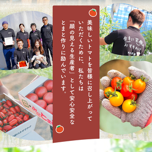 ミニトマト生産量 日本一 玉名市 !！ 「 トマ・ランタン 」 約 3kg ミニトマト トマト Vege Riseﾐﾆﾄﾏﾄﾄﾏﾄﾐﾆﾄﾏﾄﾄﾏﾄﾐﾆﾄﾏﾄﾄﾏﾄﾐﾆﾄﾏﾄﾄﾏﾄﾐﾆﾄﾏﾄﾄﾏﾄﾐﾆﾄﾏﾄﾄﾏﾄﾐﾆﾄﾏﾄﾄﾏﾄﾐﾆﾄﾏﾄﾄﾏﾄﾐﾆﾄﾏﾄﾄﾏﾄﾐﾆﾄﾏﾄﾄﾏﾄﾐﾆﾄﾏﾄﾄﾏﾄﾐﾆﾄﾏﾄﾄﾏﾄﾐﾆﾄﾏﾄﾄﾏﾄﾐﾆﾄﾏﾄﾄﾏﾄﾐﾆﾄﾏﾄﾄﾏﾄﾐﾆﾄﾏﾄﾄﾏﾄﾐﾆﾄﾏﾄﾄﾏﾄﾐﾆﾄﾏﾄﾄﾏﾄﾐﾆﾄﾏﾄﾄﾏﾄﾐﾆﾄﾏﾄﾄﾏﾄﾐﾆﾄﾏﾄﾄﾏﾄﾐﾆﾄﾏﾄﾄﾏﾄﾐﾆﾄﾏﾄﾄﾏﾄﾐﾆﾄﾏﾄﾄﾏﾄﾐﾆﾄﾏﾄﾄﾏﾄﾐﾆﾄﾏﾄﾄﾏﾄﾐﾆﾄﾏﾄﾄﾏﾄﾐﾆﾄﾏﾄﾄﾏﾄﾐﾆﾄﾏﾄﾄﾏﾄﾐﾆﾄﾏﾄﾄﾏﾄﾐﾆﾄﾏﾄﾄﾏﾄﾐﾆﾄﾏﾄﾄﾏﾄﾐﾆﾄﾏﾄﾄﾏﾄﾐﾆﾄﾏﾄﾄﾏﾄﾐﾆﾄﾏﾄﾄﾏﾄﾐﾆﾄﾏﾄﾄﾏﾄﾐﾆﾄﾏﾄﾄﾏﾄﾐﾆﾄﾏﾄﾄﾏﾄﾐﾆﾄﾏﾄﾄﾏﾄﾐﾆﾄﾏﾄﾄﾏﾄﾐﾆﾄﾏﾄﾄﾏﾄﾐﾆﾄﾏﾄﾄﾏﾄﾐﾆﾄﾏﾄﾄﾏﾄﾐﾆﾄﾏﾄﾄﾏﾄﾐﾆﾄﾏﾄﾄﾏﾄﾐﾆﾄﾏﾄﾄﾏﾄﾐﾆﾄﾏﾄﾄﾏﾄﾐﾆﾄﾏﾄﾄﾏﾄﾐﾆﾄﾏﾄﾄﾏﾄﾐﾆﾄﾏﾄﾄﾏﾄﾐﾆﾄﾏﾄﾄﾏﾄﾐﾆﾄﾏﾄﾄﾏﾄﾐﾆﾄﾏﾄﾄﾏﾄﾐﾆﾄﾏﾄﾄﾏﾄﾐﾆﾄﾏﾄﾄﾏﾄﾐﾆﾄﾏﾄﾄﾏﾄﾐﾆﾄﾏﾄﾄﾏﾄﾐﾆﾄﾏﾄﾄﾏﾄﾐﾆﾄﾏﾄﾄﾏﾄﾐﾆﾄﾏﾄﾄﾏﾄﾐﾆﾄﾏﾄﾄﾏﾄﾐﾆﾄﾏﾄﾄﾏﾄﾐﾆﾄﾏﾄﾄﾏﾄﾐﾆﾄﾏﾄﾄﾏﾄﾐﾆﾄﾏﾄﾄﾏﾄﾐﾆﾄﾏﾄﾄﾏﾄﾐﾆﾄﾏﾄﾄﾏﾄﾐﾆﾄﾏﾄﾄﾏﾄﾐﾆﾄﾏﾄﾄﾏﾄﾐﾆﾄﾏﾄﾄﾏﾄﾐﾆﾄﾏﾄﾄﾏﾄﾐﾆﾄﾏﾄﾄﾏﾄﾐﾆﾄﾏﾄﾄﾏﾄﾐﾆﾄﾏﾄﾄﾏﾄﾐﾆﾄﾏﾄﾄﾏﾄﾐﾆﾄﾏﾄﾄﾏﾄﾐﾆﾄﾏﾄﾄﾏﾄﾐﾆﾄﾏﾄﾄﾏﾄﾐﾆﾄﾏﾄﾄﾏﾄﾐﾆﾄﾏﾄﾄﾏﾄﾐﾆﾄﾏﾄﾄﾏﾄﾐﾆﾄﾏﾄﾄﾏﾄﾐﾆﾄﾏﾄﾄﾏﾄﾐﾆﾄﾏﾄﾄﾏﾄﾐﾆﾄﾏﾄﾄﾏﾄﾐﾆﾄﾏﾄﾄﾏﾄﾐﾆﾄﾏﾄﾄﾏﾄﾐﾆﾄﾏﾄﾄﾏﾄﾐﾆﾄﾏﾄﾄﾏﾄﾐﾆﾄﾏﾄﾄﾏﾄﾐﾆﾄﾏﾄﾄﾏﾄﾐﾆﾄﾏﾄﾄﾏﾄﾐﾆﾄﾏﾄﾄﾏﾄﾐﾆﾄﾏﾄﾄﾏﾄﾐﾆﾄﾏﾄﾄﾏﾄﾐﾆﾄﾏﾄﾄﾏﾄﾐﾆﾄﾏﾄﾄﾏﾄﾐﾆﾄﾏﾄﾄﾏﾄﾐﾆﾄﾏﾄﾄﾏﾄﾐﾆﾄﾏﾄﾄﾏﾄﾐﾆﾄﾏﾄﾄﾏﾄﾐﾆﾄﾏﾄﾄﾏﾄﾐﾆﾄﾏﾄﾄﾏﾄﾐﾆﾄﾏﾄﾄﾏﾄﾐﾆﾄﾏﾄﾄﾏﾄﾐﾆﾄﾏﾄﾄﾏﾄﾐﾆﾄﾏﾄﾄﾏﾄﾐﾆﾄﾏﾄﾄﾏﾄﾐﾆﾄﾏﾄﾄﾏﾄﾐﾆﾄﾏﾄﾄﾏﾄﾐﾆﾄﾏﾄﾄﾏﾄﾐﾆﾄﾏﾄﾄﾏﾄﾐﾆﾄﾏﾄﾄﾏﾄﾐﾆﾄﾏﾄﾄﾏﾄ