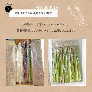 生で食べれる !! アスパラガス 2色 セット（ グリーン ・ ホワイト  ）約 700g | 新鮮 アスパラ 野菜 ソムリエ 健康 熊本県産 熊本 玉名