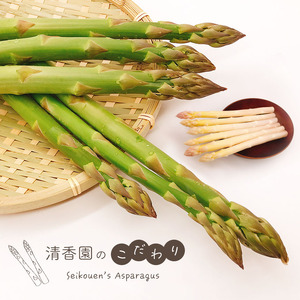 生で食べれる ? アスパラガス 2色 セット（ グリーン ・ ホワイト  ）約 1.1kg | 新鮮 アスパラ 野菜 ソムリエ 健康 熊本県産 熊本 玉名