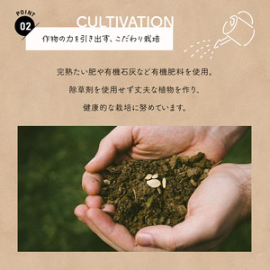 生で食べれる !! アスパラガス 3色 セット（ グリーン ・ホワイト ・ パープル  ）約 1.1kg | 新鮮 アスパラ 野菜 ソムリエ 健康 熊本県産 熊本 玉名