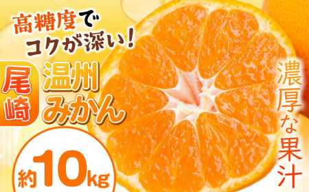 尾崎 温州 みかん 約 10kg 柑橘 フルーツ 果物 名産地 天水ﾐｶﾝﾐｶﾝﾐｶﾝﾐｶﾝﾐｶﾝﾐｶﾝﾐｶﾝﾐｶﾝﾐｶﾝﾐｶﾝﾐｶﾝﾐｶﾝﾐｶﾝﾐｶﾝﾐｶﾝﾐｶﾝﾐｶﾝﾐｶﾝﾐｶﾝﾐｶﾝﾐｶﾝﾐｶﾝﾐｶﾝﾐｶﾝﾐｶﾝﾐｶﾝﾐｶﾝﾐｶﾝﾐｶﾝﾐｶﾝﾐｶﾝﾐｶﾝﾐｶﾝﾐｶﾝﾐｶﾝﾐｶﾝﾐｶﾝﾐｶﾝﾐｶﾝﾐｶﾝﾐｶﾝﾐｶﾝﾐｶﾝﾐｶﾝﾐｶﾝﾐｶﾝﾐｶﾝﾐｶﾝﾐｶﾝﾐｶﾝﾐｶﾝﾐｶﾝﾐｶﾝﾐｶﾝﾐｶﾝﾐｶﾝﾐｶﾝﾐｶﾝﾐｶﾝﾐｶﾝﾐｶﾝﾐｶﾝﾐｶﾝﾐｶﾝﾐｶﾝﾐｶﾝﾐｶﾝﾐｶﾝﾐｶﾝﾐｶﾝﾐｶﾝﾐｶﾝﾐｶﾝﾐｶﾝﾐｶﾝﾐｶﾝﾐｶﾝﾐｶﾝﾐｶﾝﾐｶﾝﾐｶﾝﾐｶﾝﾐｶﾝﾐｶﾝﾐｶﾝﾐｶﾝﾐｶﾝﾐｶﾝﾐｶﾝﾐｶﾝﾐｶﾝﾐｶﾝﾐｶﾝﾐｶﾝﾐｶﾝﾐｶﾝﾐｶﾝﾐｶﾝﾐｶﾝﾐｶﾝﾐｶﾝﾐｶﾝﾐｶﾝﾐｶﾝﾐｶﾝﾐｶﾝﾐｶﾝﾐｶﾝﾐｶﾝﾐｶﾝﾐｶﾝﾐｶﾝﾐｶﾝﾐｶﾝﾐｶﾝﾐｶﾝﾐｶﾝﾐｶﾝﾐｶﾝﾐｶﾝﾐｶﾝﾐｶﾝﾐｶﾝﾐｶﾝﾐｶﾝﾐｶﾝﾐｶﾝﾐｶﾝﾐｶﾝﾐｶﾝﾐｶﾝﾐｶﾝﾐｶﾝﾐｶﾝﾐｶﾝﾐｶﾝﾐｶﾝﾐｶﾝﾐｶﾝﾐｶﾝﾐｶﾝﾐｶﾝﾐｶﾝﾐｶﾝﾐｶﾝﾐｶﾝﾐｶﾝﾐｶﾝﾐｶﾝﾐｶﾝﾐｶﾝﾐｶﾝﾐｶﾝﾐｶﾝﾐｶﾝﾐｶﾝﾐｶﾝﾐｶﾝﾐｶﾝﾐｶﾝﾐｶﾝﾐｶﾝﾐｶﾝﾐｶﾝﾐｶﾝﾐｶﾝﾐｶﾝﾐｶﾝﾐｶﾝﾐｶﾝﾐｶﾝﾐｶﾝﾐｶﾝﾐｶﾝﾐｶﾝﾐｶﾝﾐｶﾝﾐｶﾝﾐｶﾝﾐｶﾝﾐｶﾝﾐｶﾝﾐｶﾝﾐｶﾝﾐｶﾝﾐｶﾝﾐｶﾝﾐｶﾝﾐｶﾝﾐｶﾝﾐｶﾝﾐｶﾝﾐｶﾝﾐｶﾝﾐｶﾝﾐｶﾝﾐｶﾝﾐｶﾝﾐｶﾝﾐｶﾝﾐｶﾝﾐｶﾝﾐｶﾝﾐｶﾝﾐｶﾝﾐｶﾝﾐｶﾝﾐｶﾝﾐｶﾝﾐｶﾝﾐｶﾝﾐｶﾝﾐｶﾝﾐｶﾝﾐｶﾝﾐｶﾝﾐｶﾝﾐｶﾝﾐｶﾝﾐｶﾝﾐｶﾝﾐｶﾝﾐｶﾝﾐｶﾝﾐｶﾝﾐｶﾝﾐｶﾝﾐｶﾝﾐｶﾝﾐｶﾝﾐｶﾝﾐｶﾝﾐｶﾝﾐｶﾝﾐｶﾝﾐｶﾝﾐｶﾝﾐｶﾝﾐｶﾝﾐｶﾝﾐｶﾝﾐｶﾝﾐｶﾝﾐｶﾝﾐｶﾝ